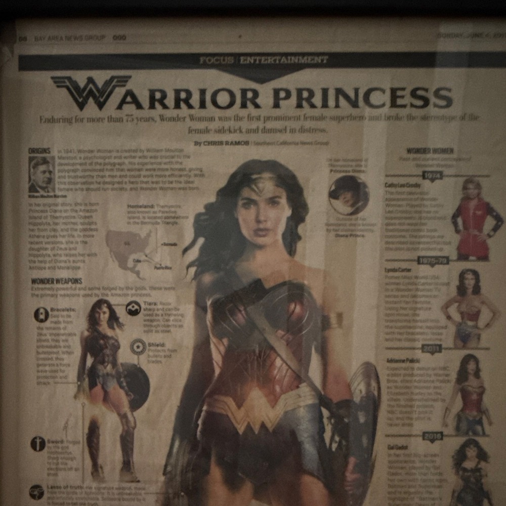 Wonder Woman "Warrior Princess" Newspaper  June 4, 2017 San Fran Framed Comic